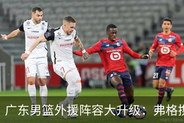 广东男篮外援阵容大升级：弗格携手阿祖布克联手博日奇